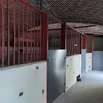 Haras De La Ressee 招待所 Agnez-les-Duisans