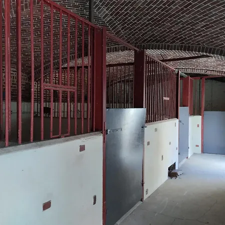 Haras De La Ressee Πανσιόν Agnez-les-Duisans